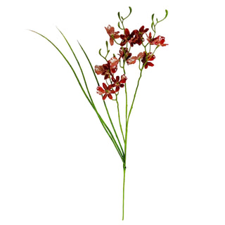 Wild Orchid in Wine 28" burgundy pink