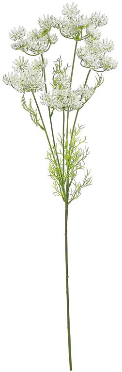 Wild Queen Anne's Lace Spray in Cream 33" airy natural lacy