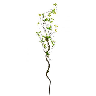 Wild Smilax Vine 48"