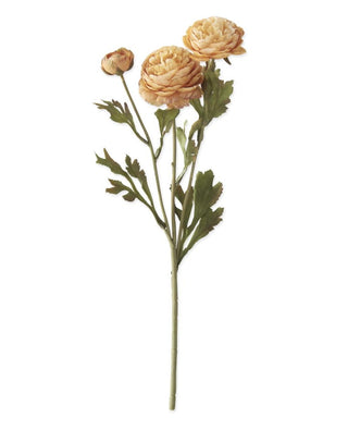 Yellow Two Blossom & Bud Ranunculus Stem