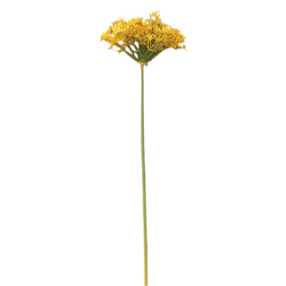 Yellow Scallion Flower