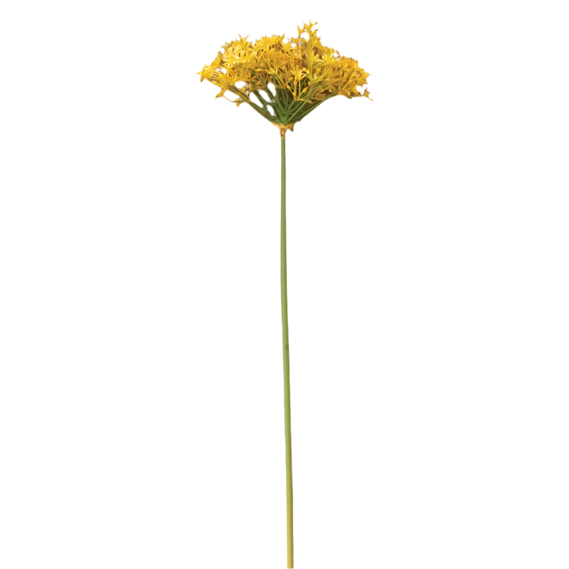 Yellow Scallion Flower