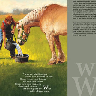 H is for Horse: An Equestrian Alphabet Picture Book