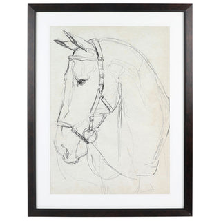 Horse in Bridle Sketch II