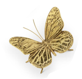 Gold Butterfly Assorted