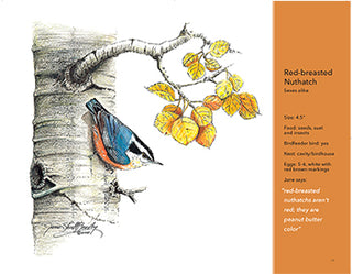 For The Love of Birds Book