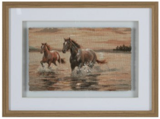 horse gallop in water