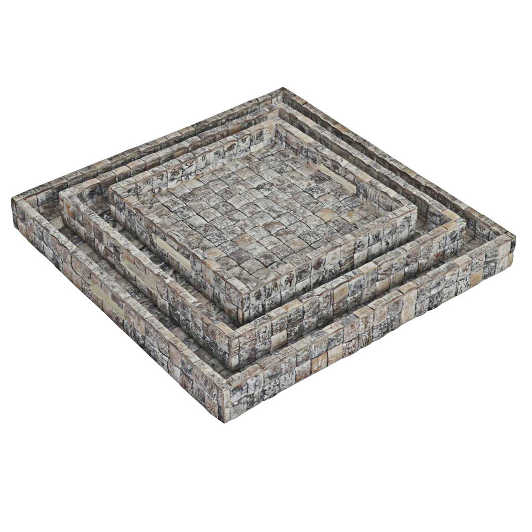 Coconut Tray