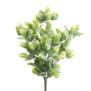Cream Hops x 7 15"