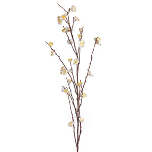 Cream Cherry Blossom
