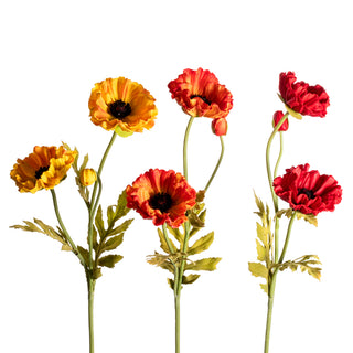 Small Poppy Assorted 27"