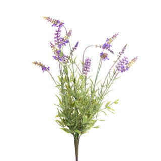 Lavender Bush