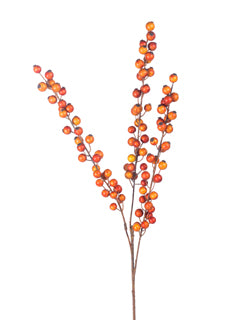 Rust Berry Stem