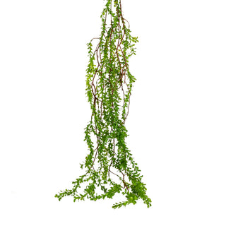 Hanging Willow Leaves