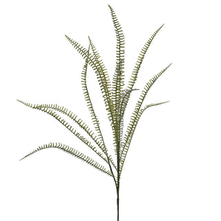 Fern Spray
