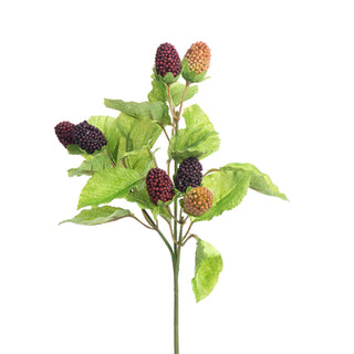 Raspberry Pick