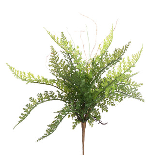 Small Fern Bundle