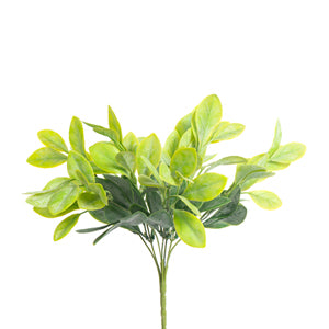 Lemon Leaf x 7 Green