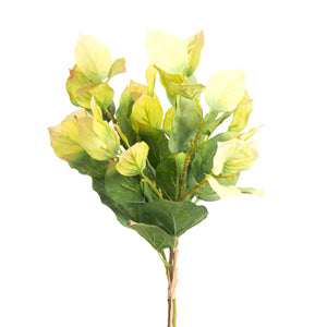Salal Bundle