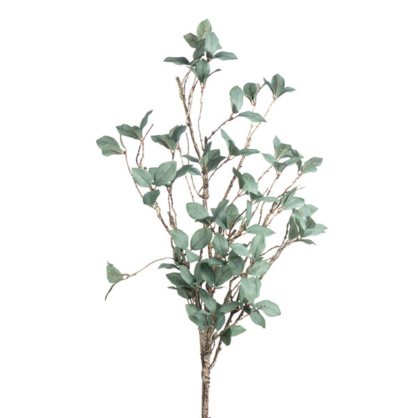 Long Twig Leaf Bush Green