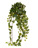 Large Hanging Frosted Ivy, Green