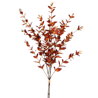 Rust Myrtle Bundle 36"