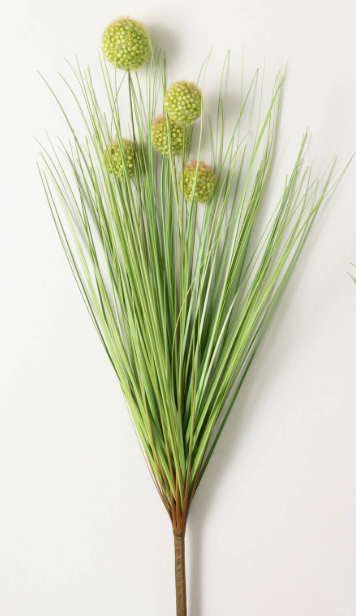 Onion Grass Bush, 2 Colors