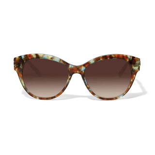 Brighton Interlok Braid Blue Havana Sunglasses