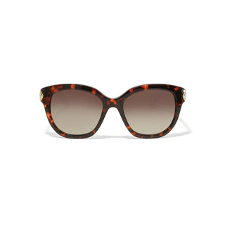 Brighton Intrigue Amber Tortoise Sunglasses