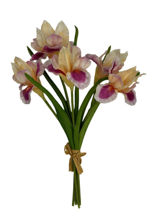 Iris Bundle Purple Cream