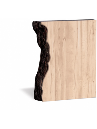 P. Graham Dunn Faux Sliced Log Block