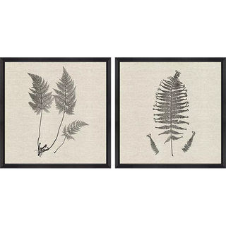 Modern Ferns I