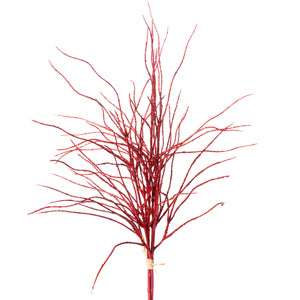 Red Twig Bundle
