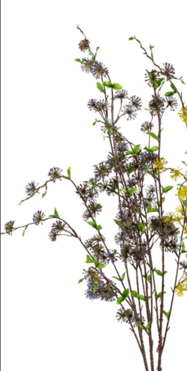 36” Assorted Seed Bush