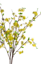 Load image into Gallery viewer, 36” Assorted Seed Bush

