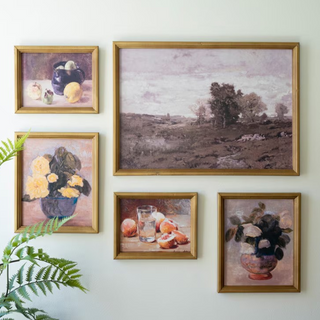 Framed Vintage Print Assorted
