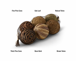 Collection of natural materials including pine cones, oak leaf, and twines on a white background pine cone bean bark brown natural pinecone