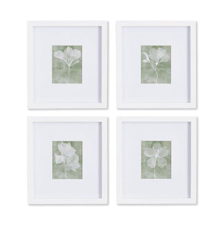 Petite Translucent Floral Prints Assorted
