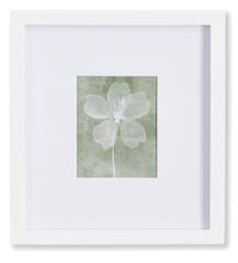 Petite Translucent Floral Prints Assorted