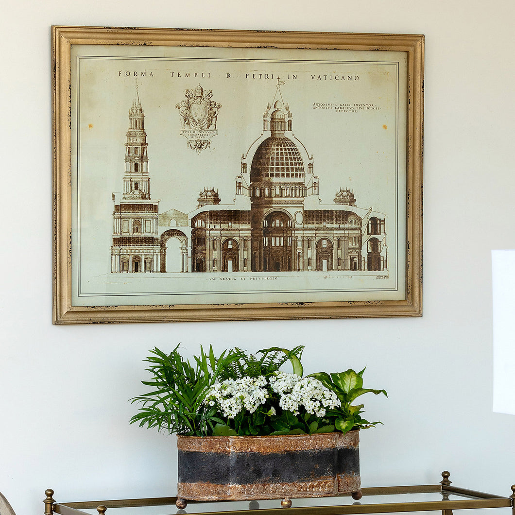 Vaticano Drawing Framed Print