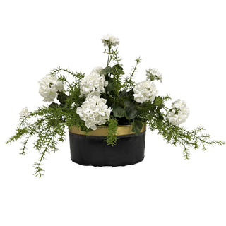 White Geranium Arrangement