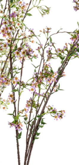 Wild Blossom x 9 Assorted