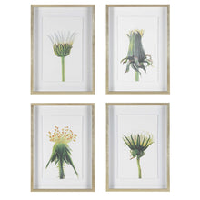 Load image into Gallery viewer, Wildflowers Framed Prints
