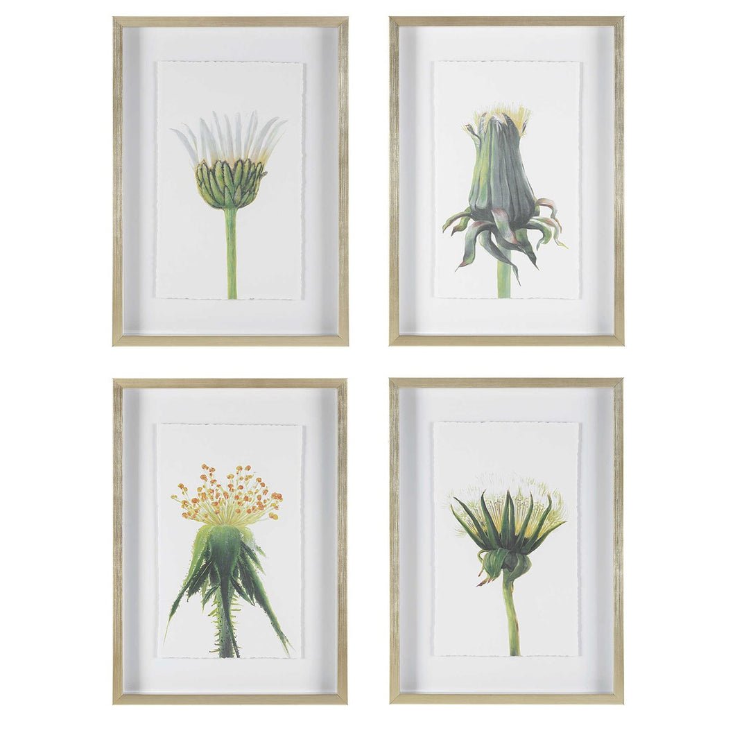 Wildflowers Framed Prints