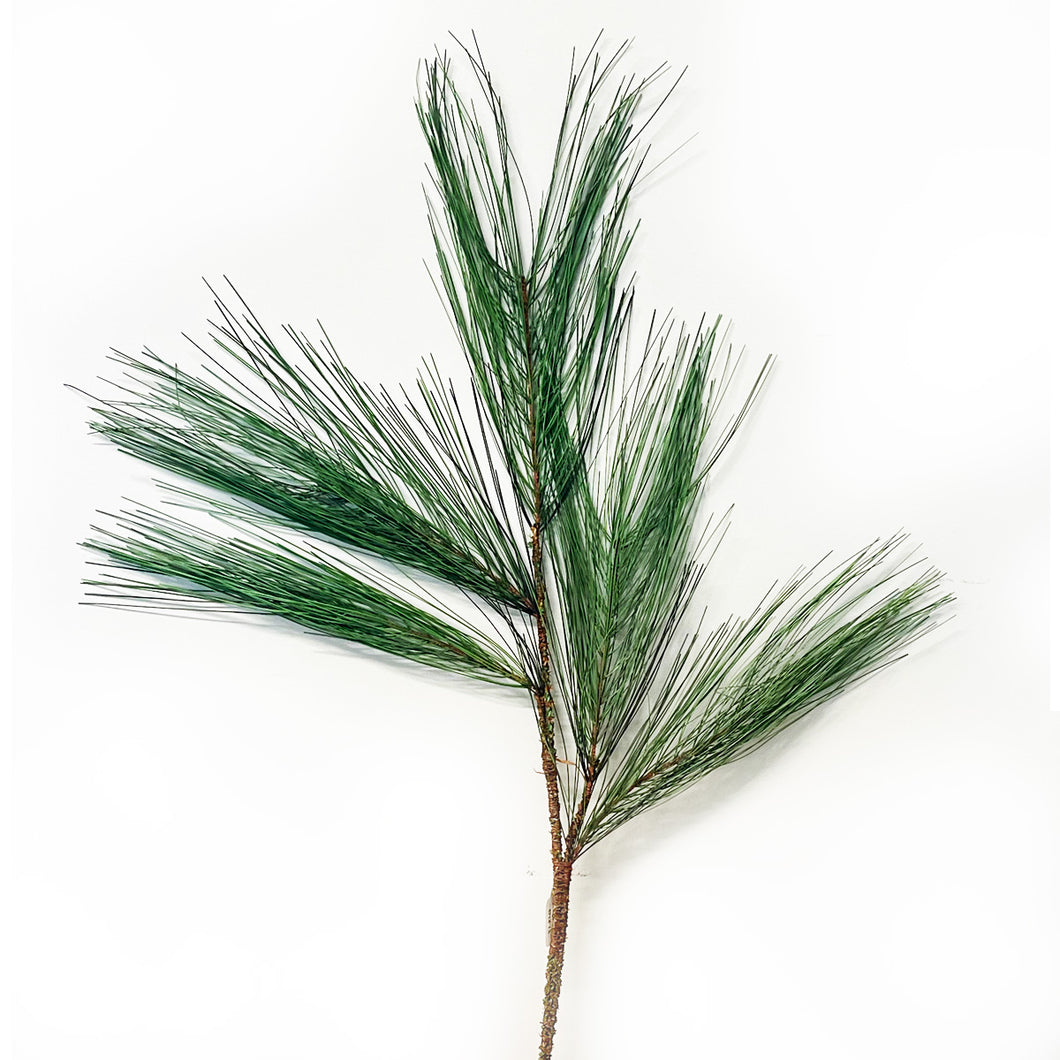 Long Needle Pine Spray
