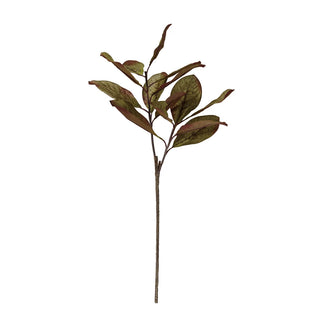 Green Distressed Magnolia Leaf Pick