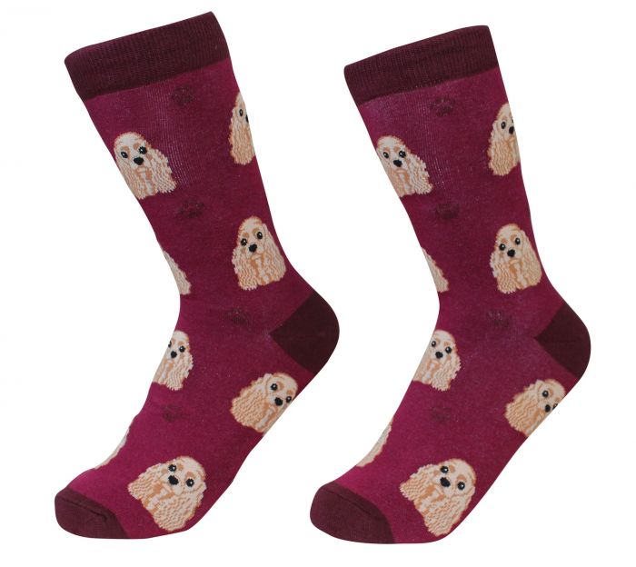 E & S Pets Cocker Spaniel Socks