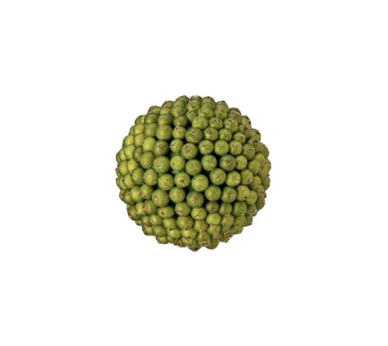 Green Fresh Berry Orb