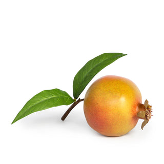Pomegranate with Leaf Red