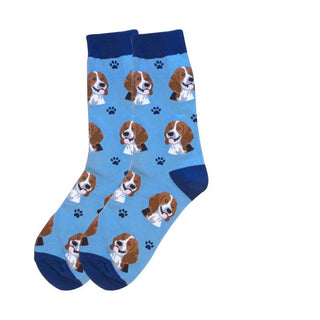 E & S Pets Beagle Socks